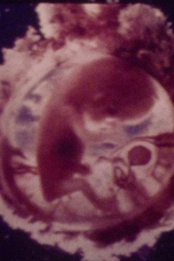 Le ventre, un supermonde