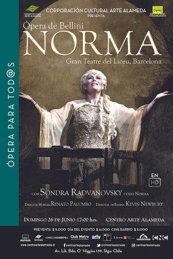 Bellini: Norma