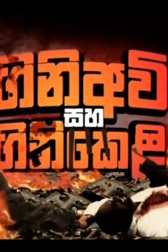 Firearms and Fireworks