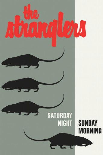 The Stranglers: Live at Alexandra Palace