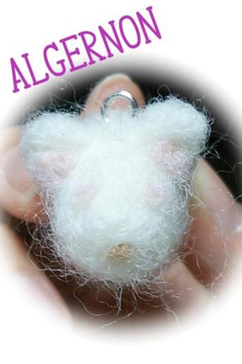 Flowers for Algernon