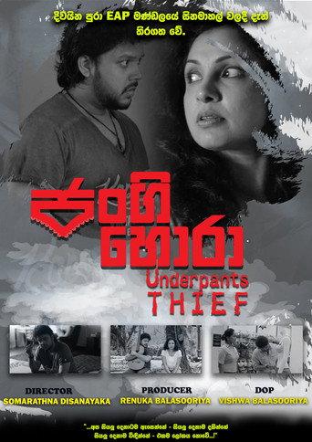 The Underpants Thief