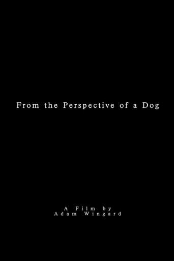 From the Perspective of a Dog