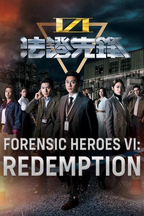 Forensic Heroes VI