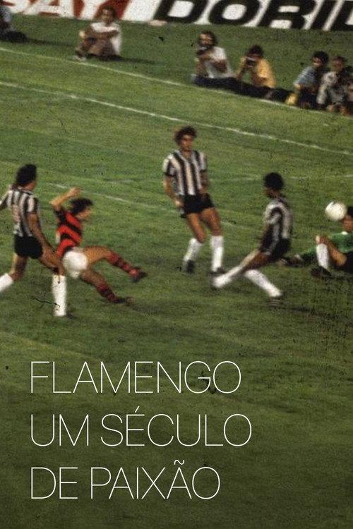 Flamengo: A Century of Passion