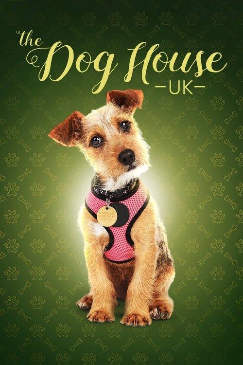 The Dog House