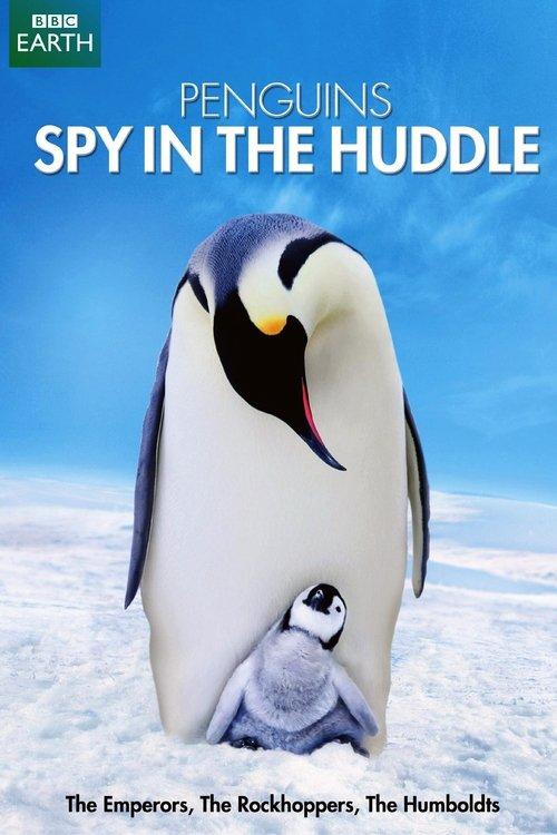 Penguins: Spy in the Huddle