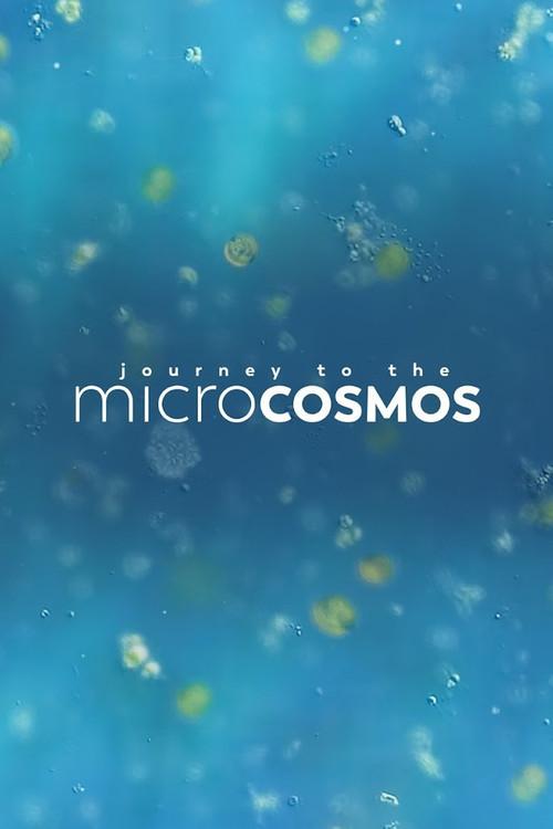 Journey to the Microcosmos