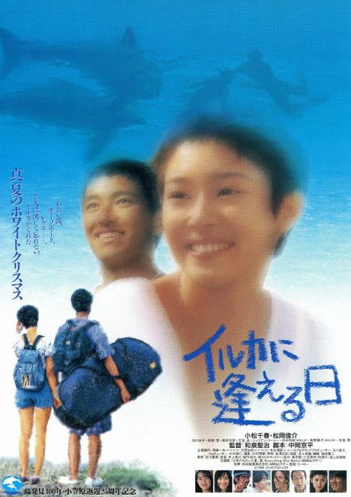 イルカに逢える日