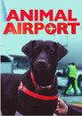 Animal Airport