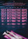 Self Destructive Boys