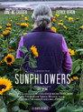 Sunphlowers