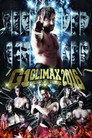 NJPW G1 Climax 26: Day 17