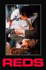 Reds