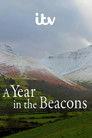 A Year in the Beacons