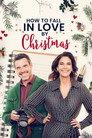 How to Fall in Love by Christmas