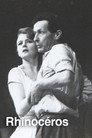 Rhinocéros