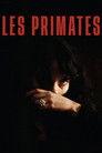Primates