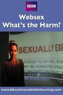 Websex: What's the Harm?