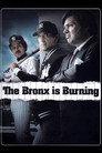 The Bronx Is Burning