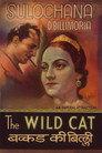 Wildcat of Bombay