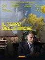 Il tempo delle mimose