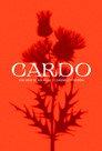 Cardo