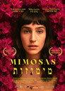 Mimosas
