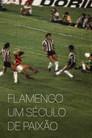 Flamengo: A Century of Passion