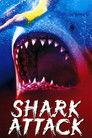 Shark Attack
