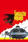 Fantastic Voyage