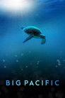Big Pacific