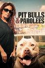 Pit Bulls and Parolees