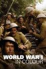 World War 1 in Colour
