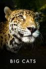 Big Cats