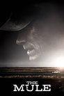 The Mule