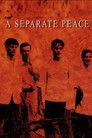 A Separate Peace