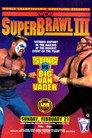 WCW SuperBrawl III
