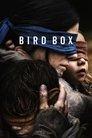 Bird Box