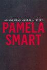 Pamela Smart: An American Murder Mystery