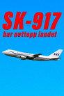 SK 917 har nettopp landet