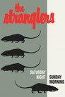 The Stranglers: Live at Alexandra Palace