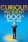 National Theatre Live: The Curious Incident of the Dog in the Night-Time