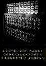 Bletchley Park: Code-breaking's Forgotten Genius