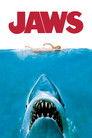 Jaws