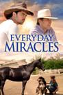 Everyday Miracles
