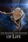The Meaning and Mystery of Life