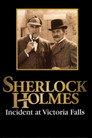 Sherlock Holmes: Incident at Victoria Falls