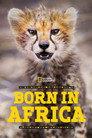Born in Africa