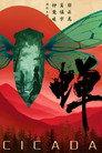 Cicada